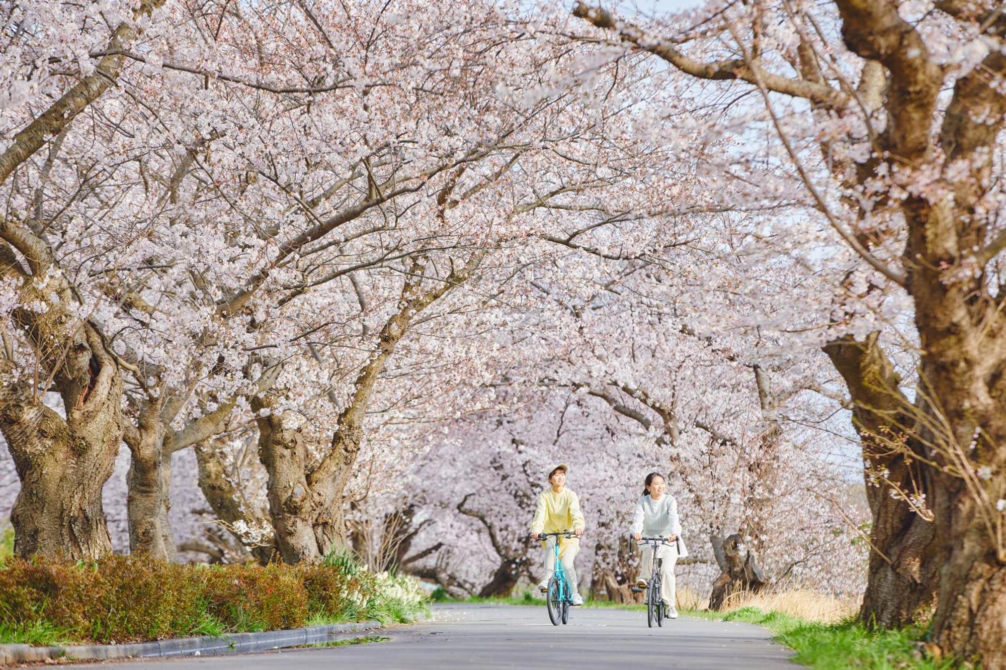 Beb5 Tsuchiura By Hoshino Resorts Exterior photo